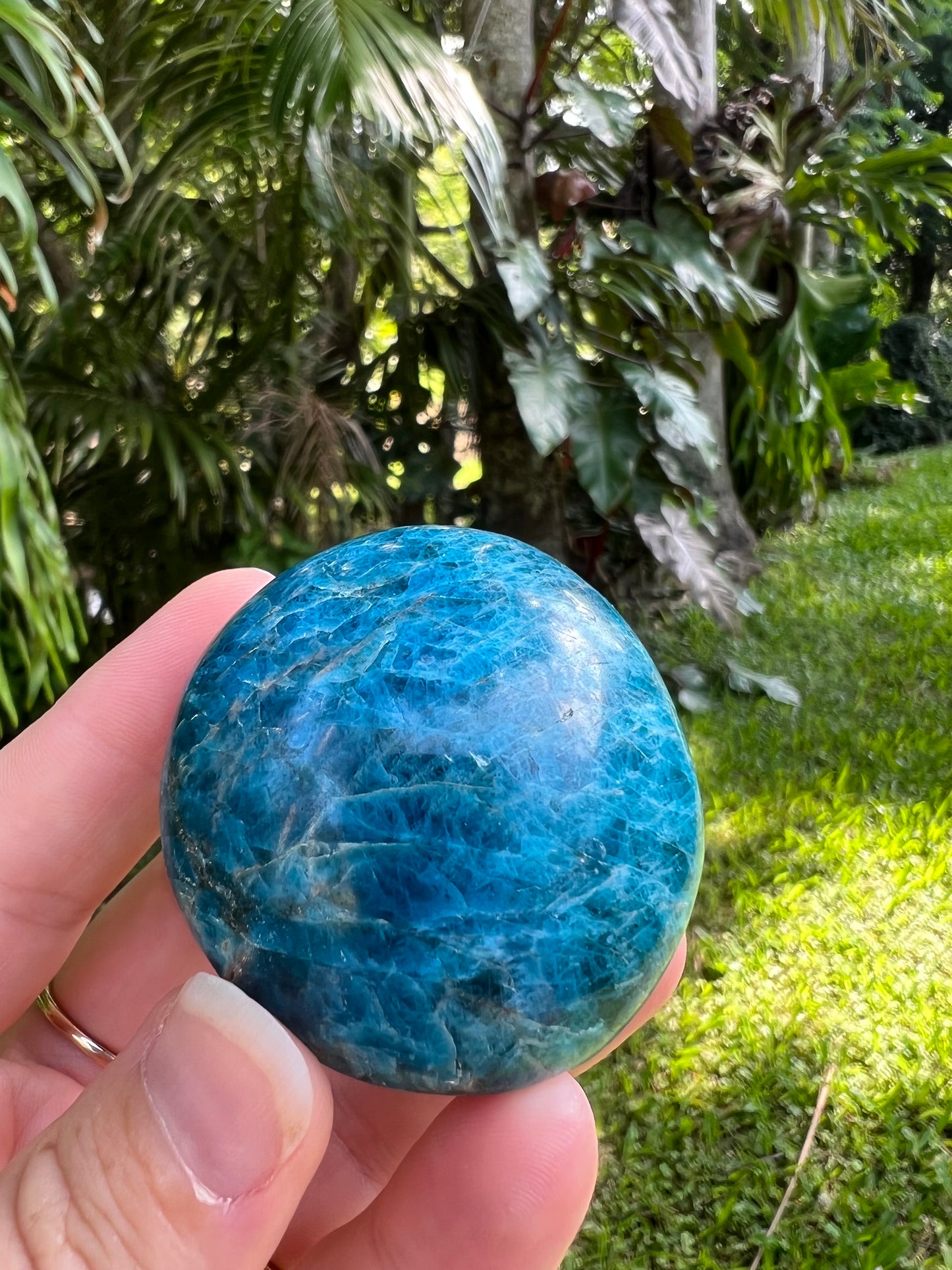 Blue Apatite Palm Stone