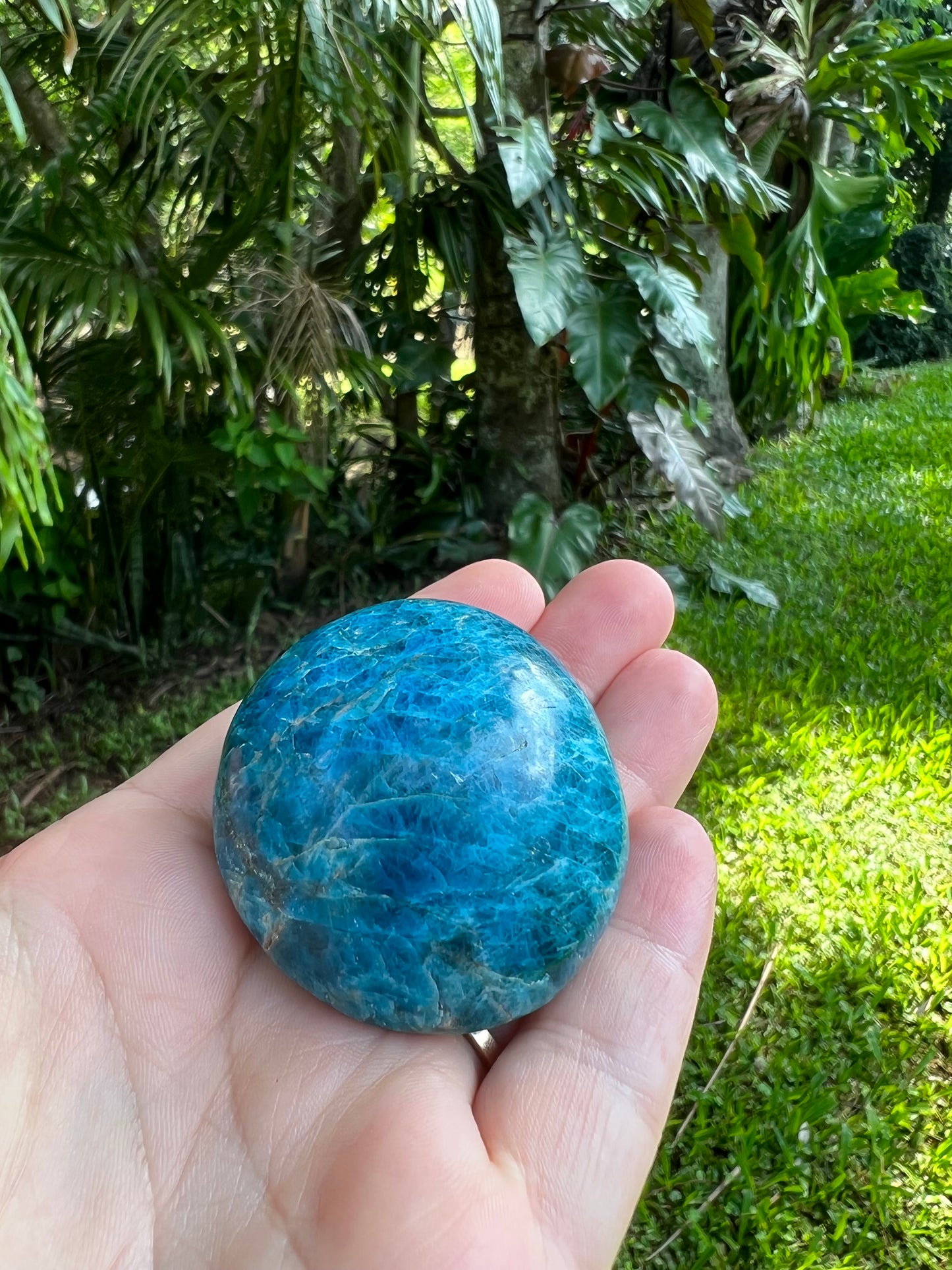 Blue Apatite Palm Stone