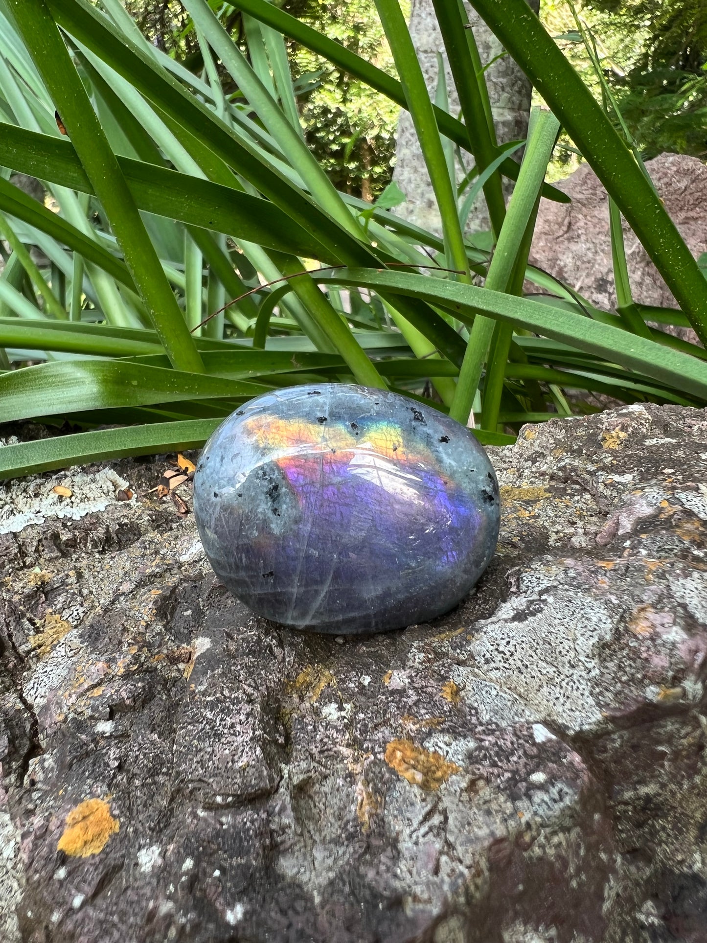 Labradorite Palm Stone