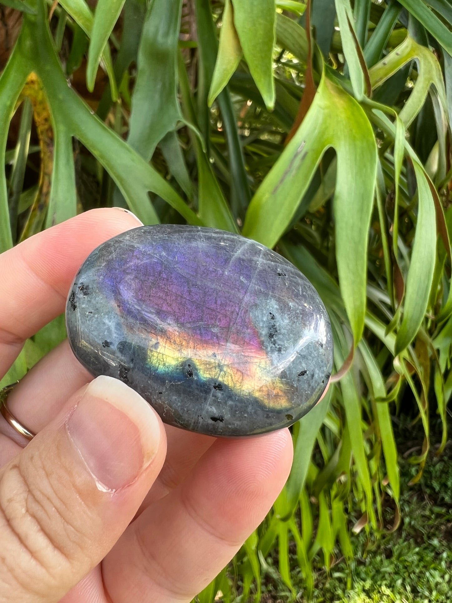 Labradorite Palm Stone