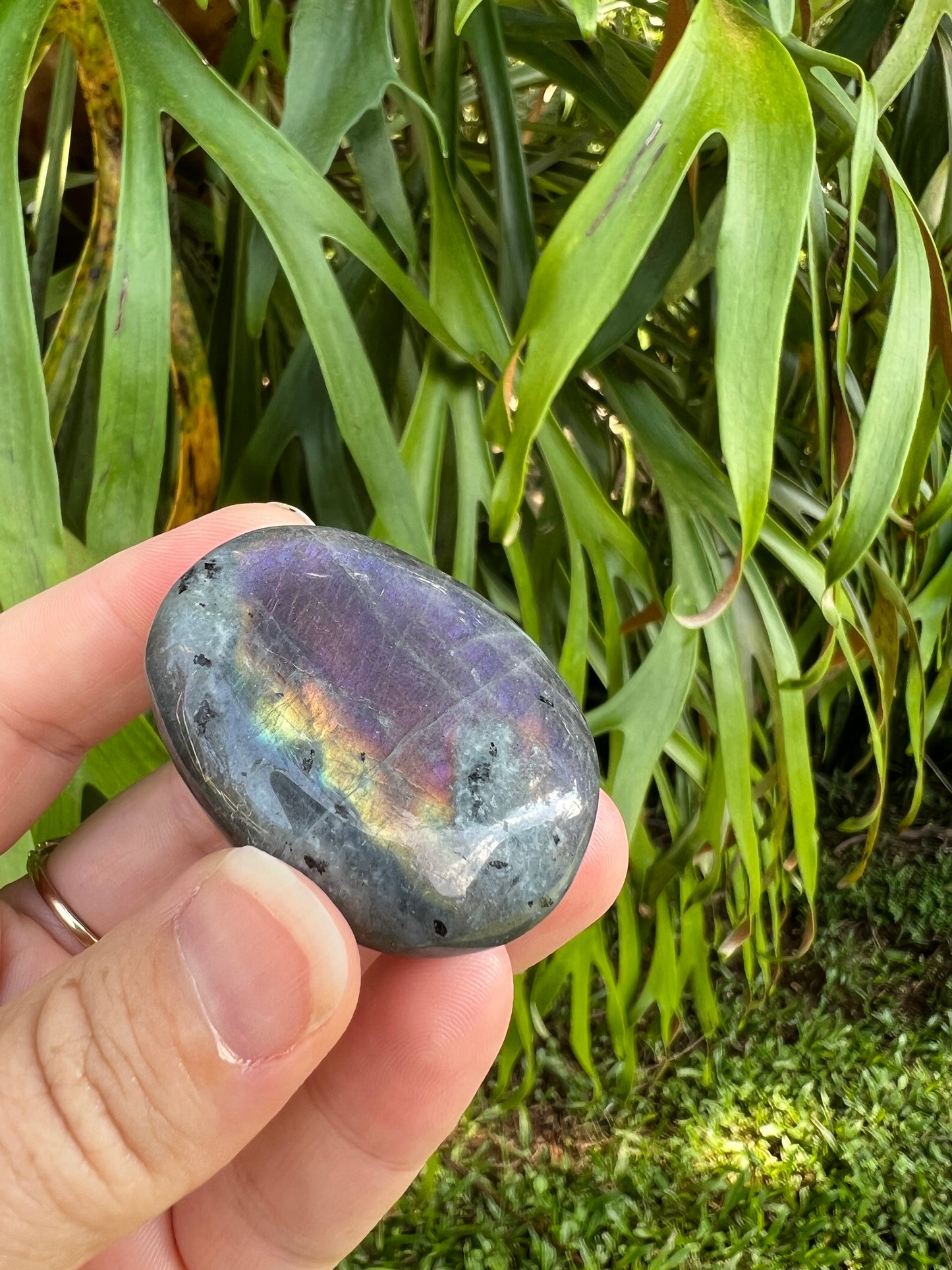 Labradorite Palm Stone