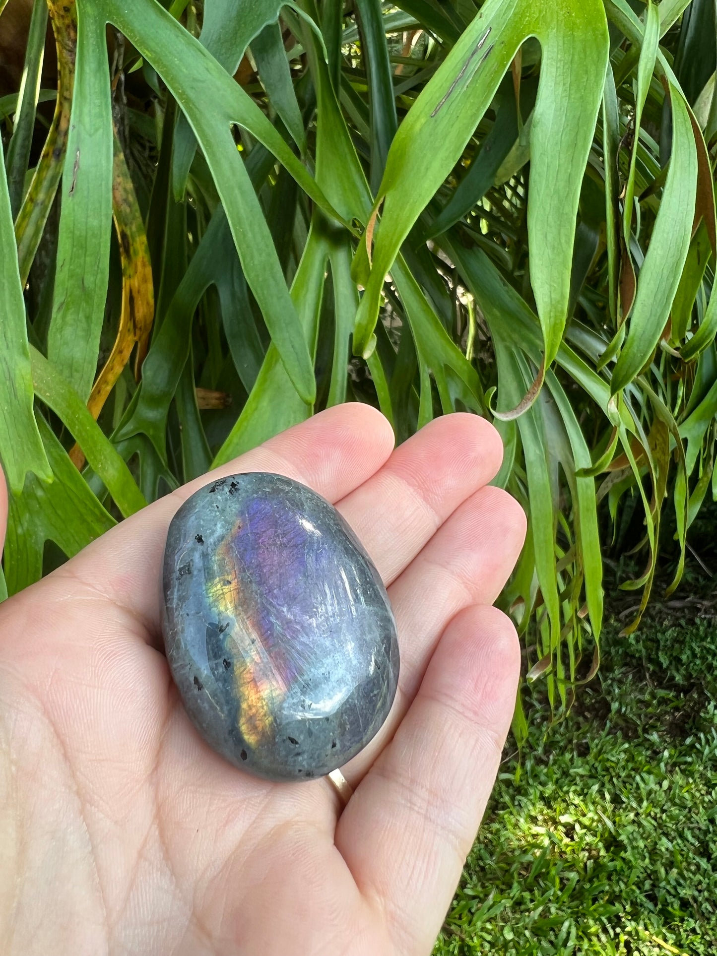 Labradorite Palm Stone