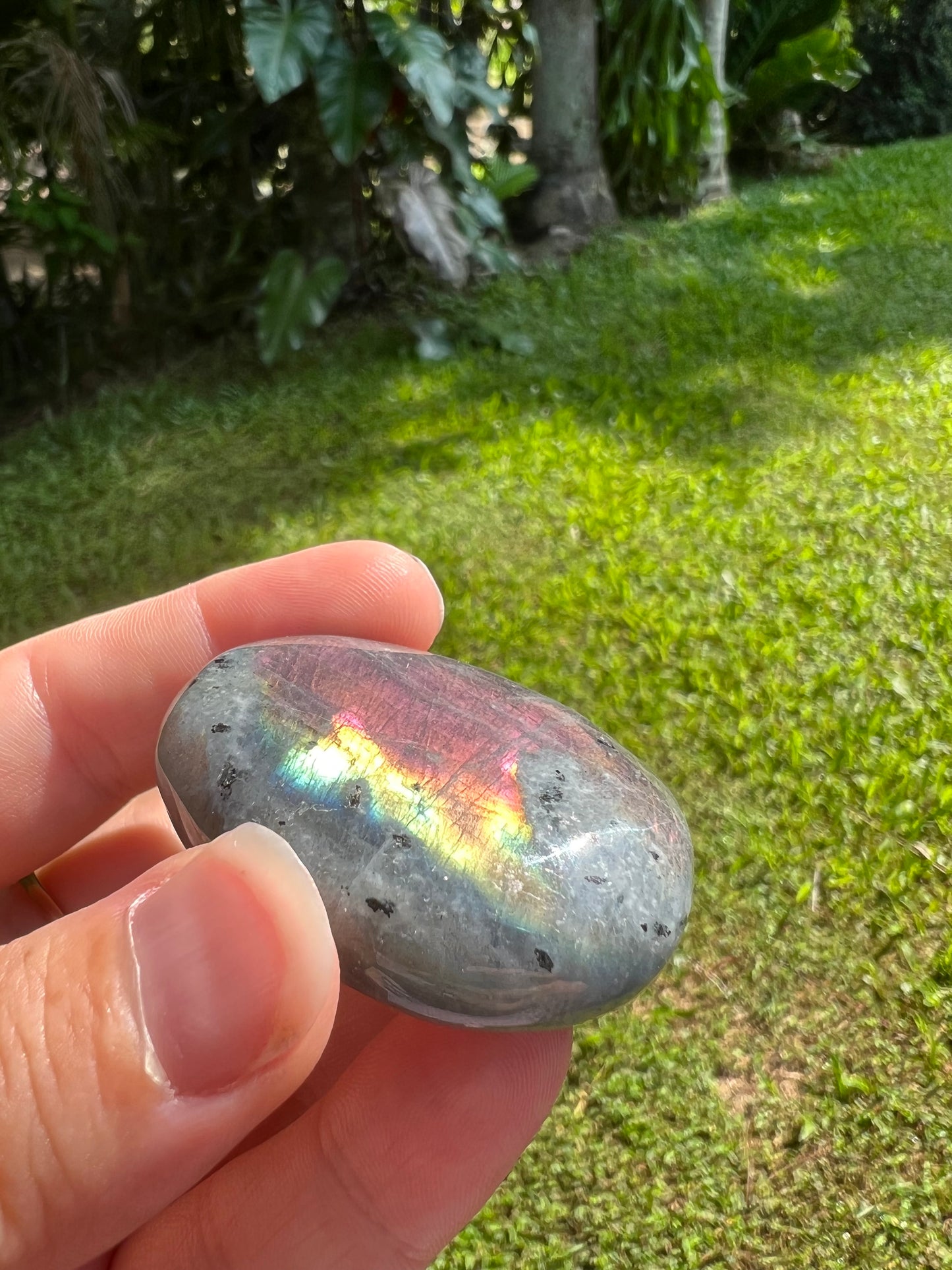 Labradorite Palm Stone
