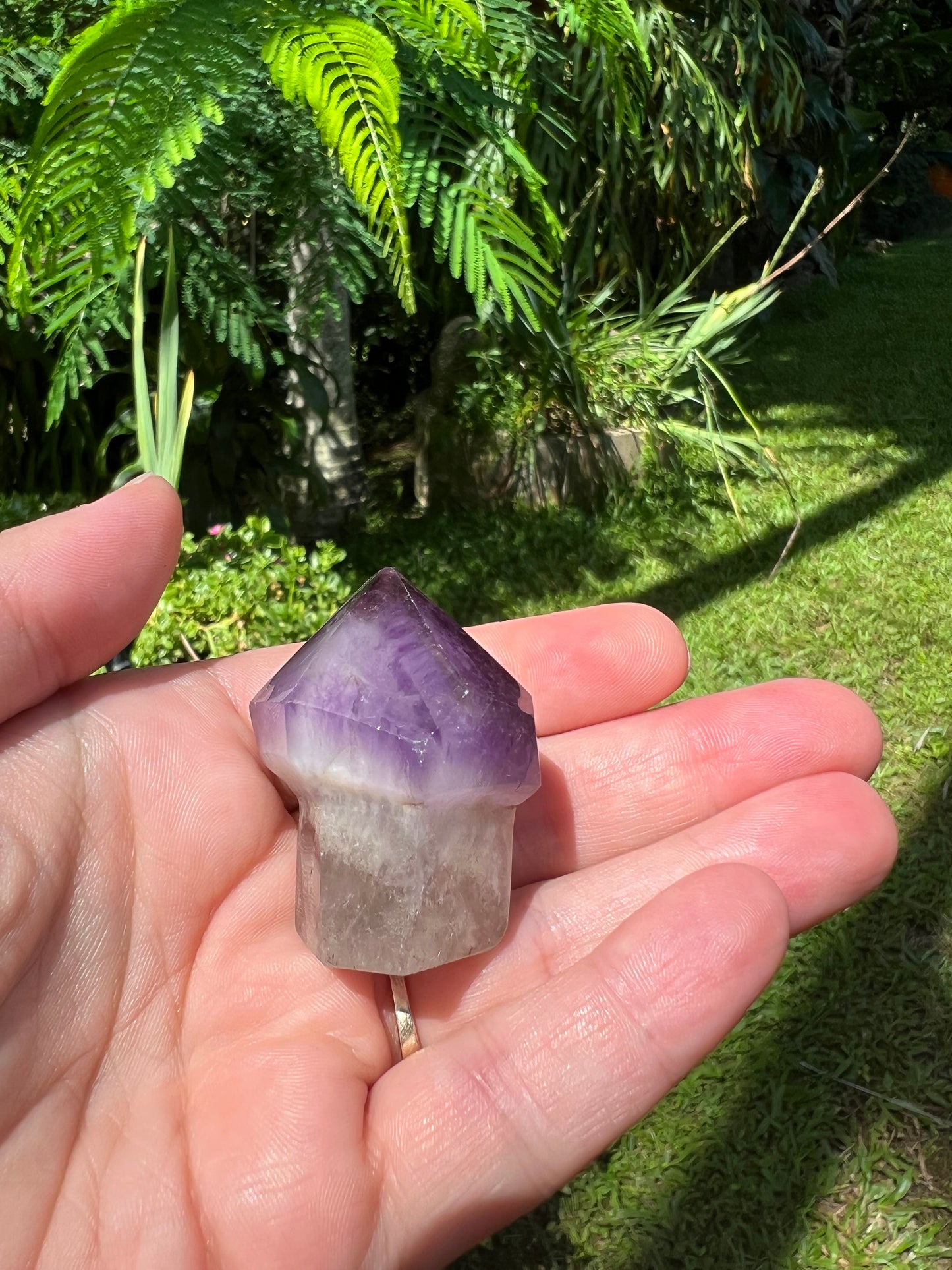 Amethyst Mushroom