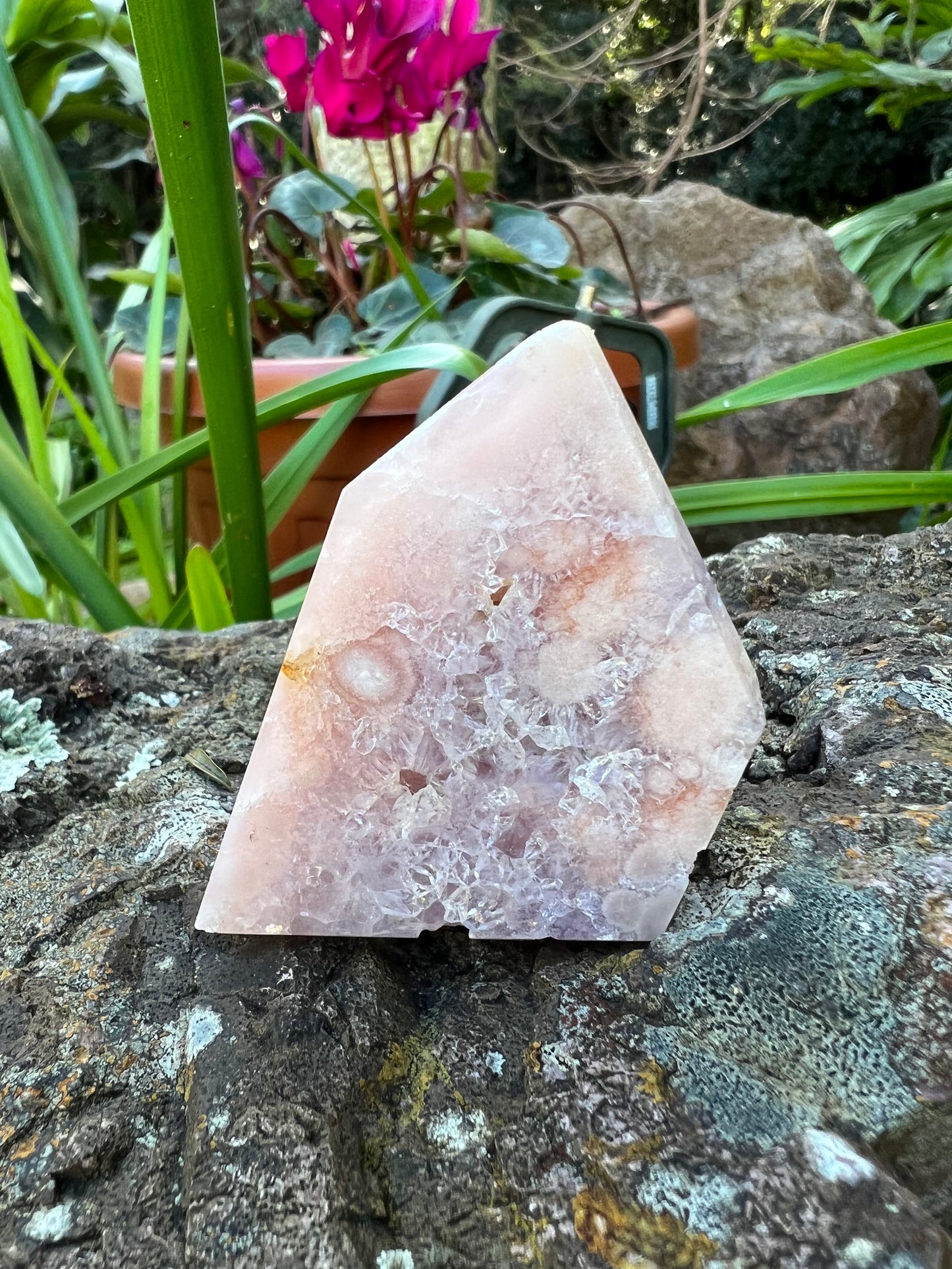 Pink Amethyst Freeform