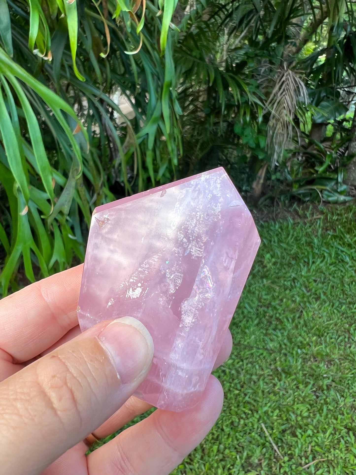 Rose Quartz Free Form