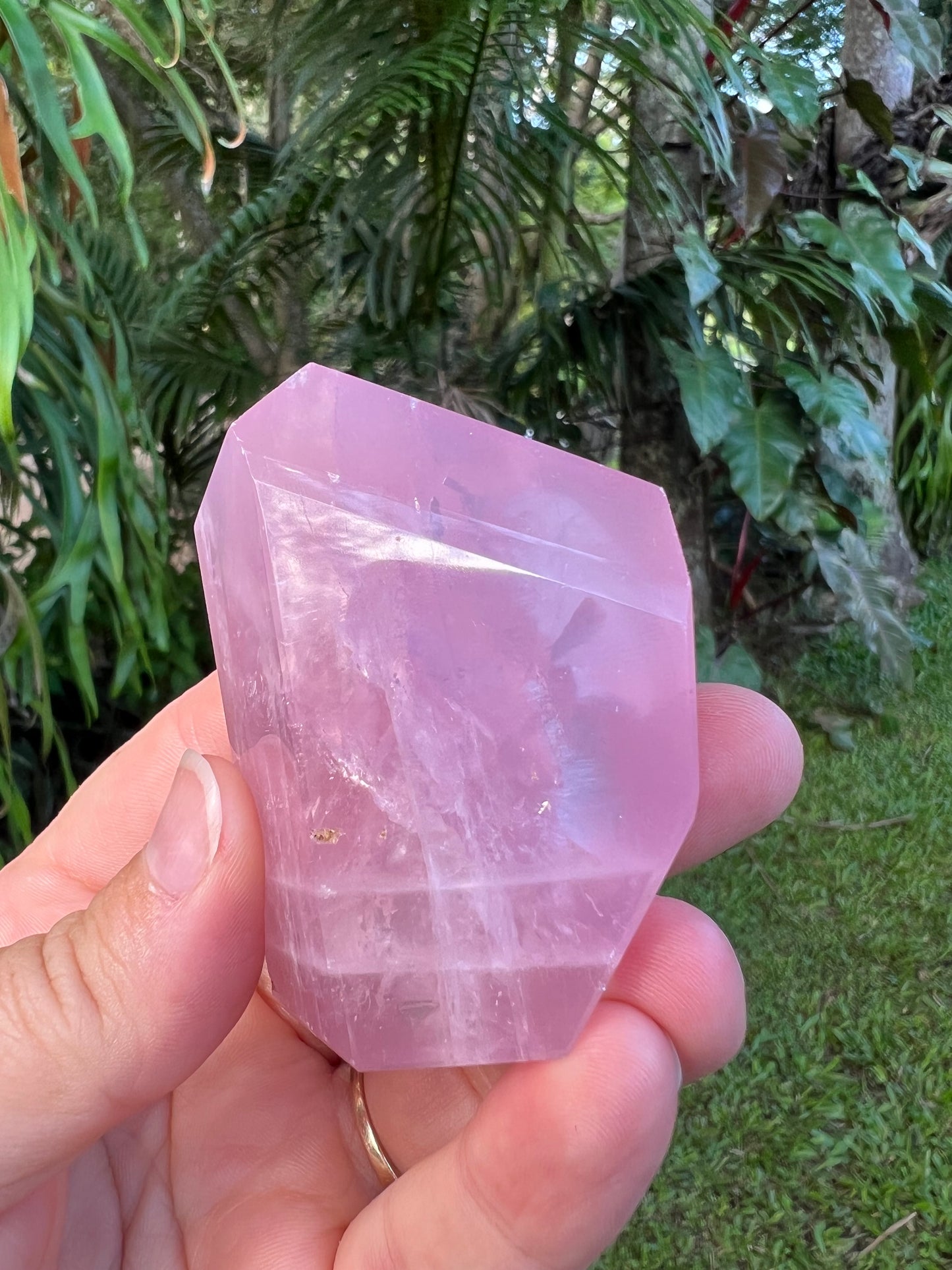 Rose Quartz Free Form