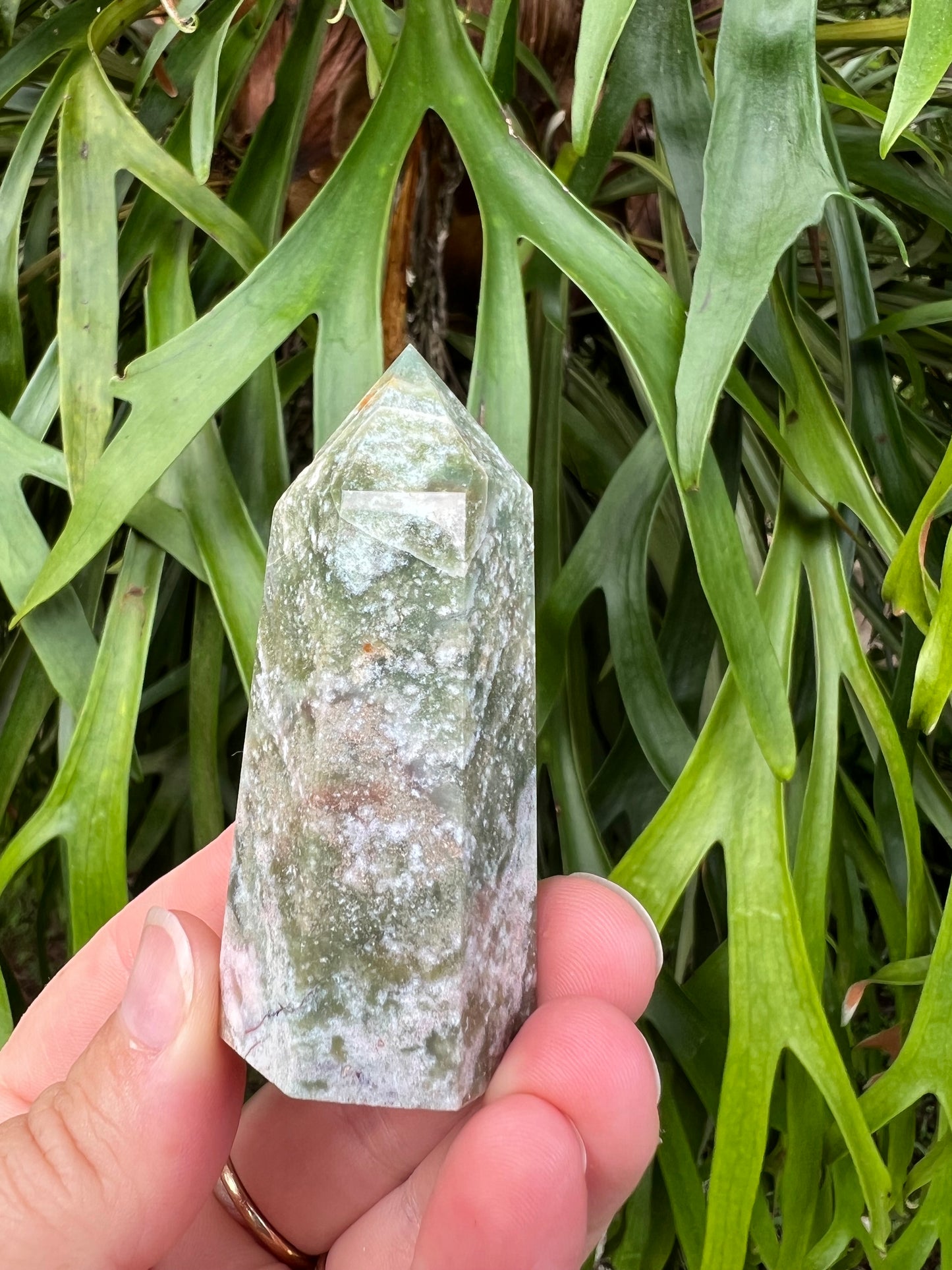 Ocean Jasper Tower