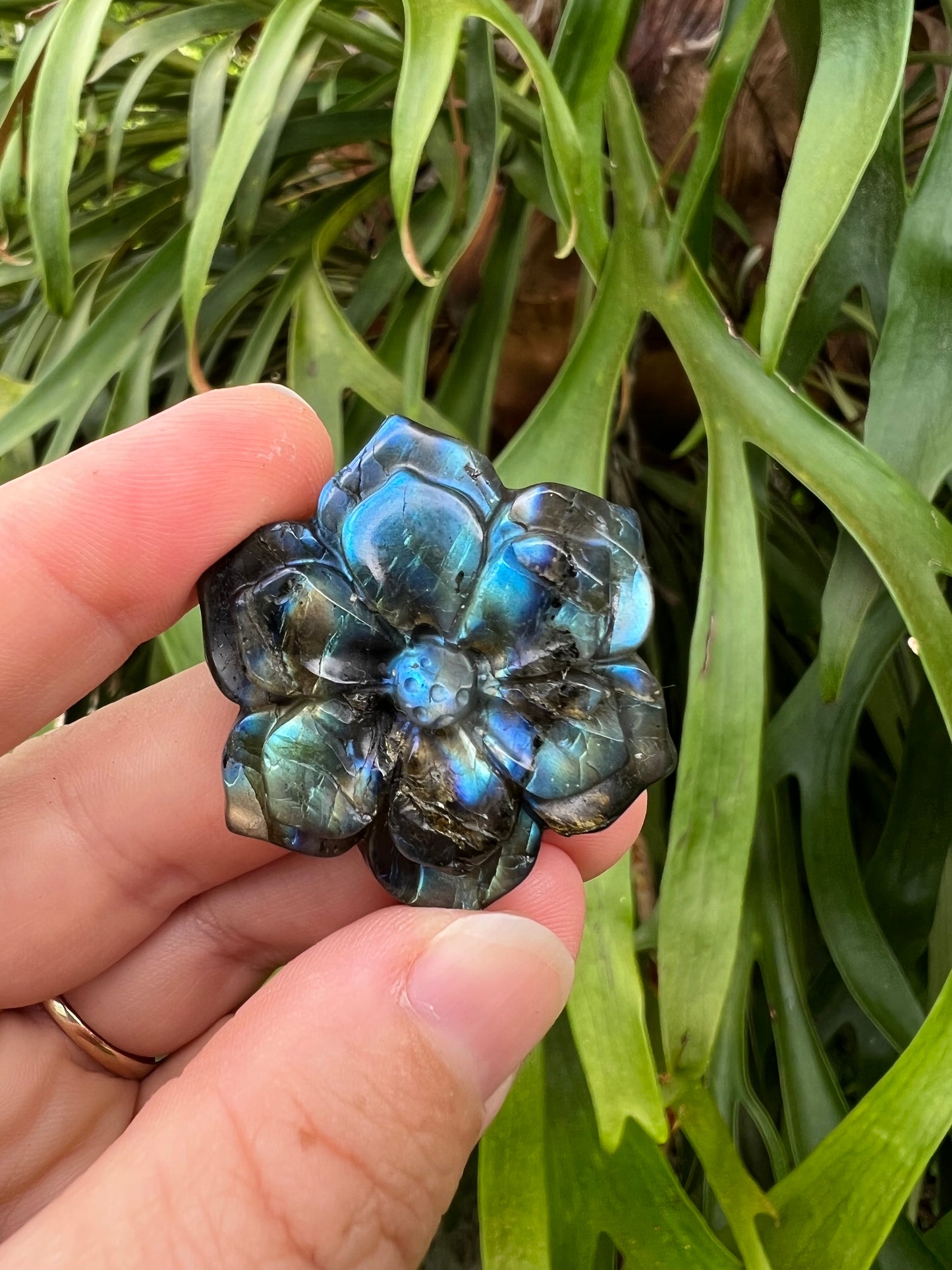 Labradorite Flower