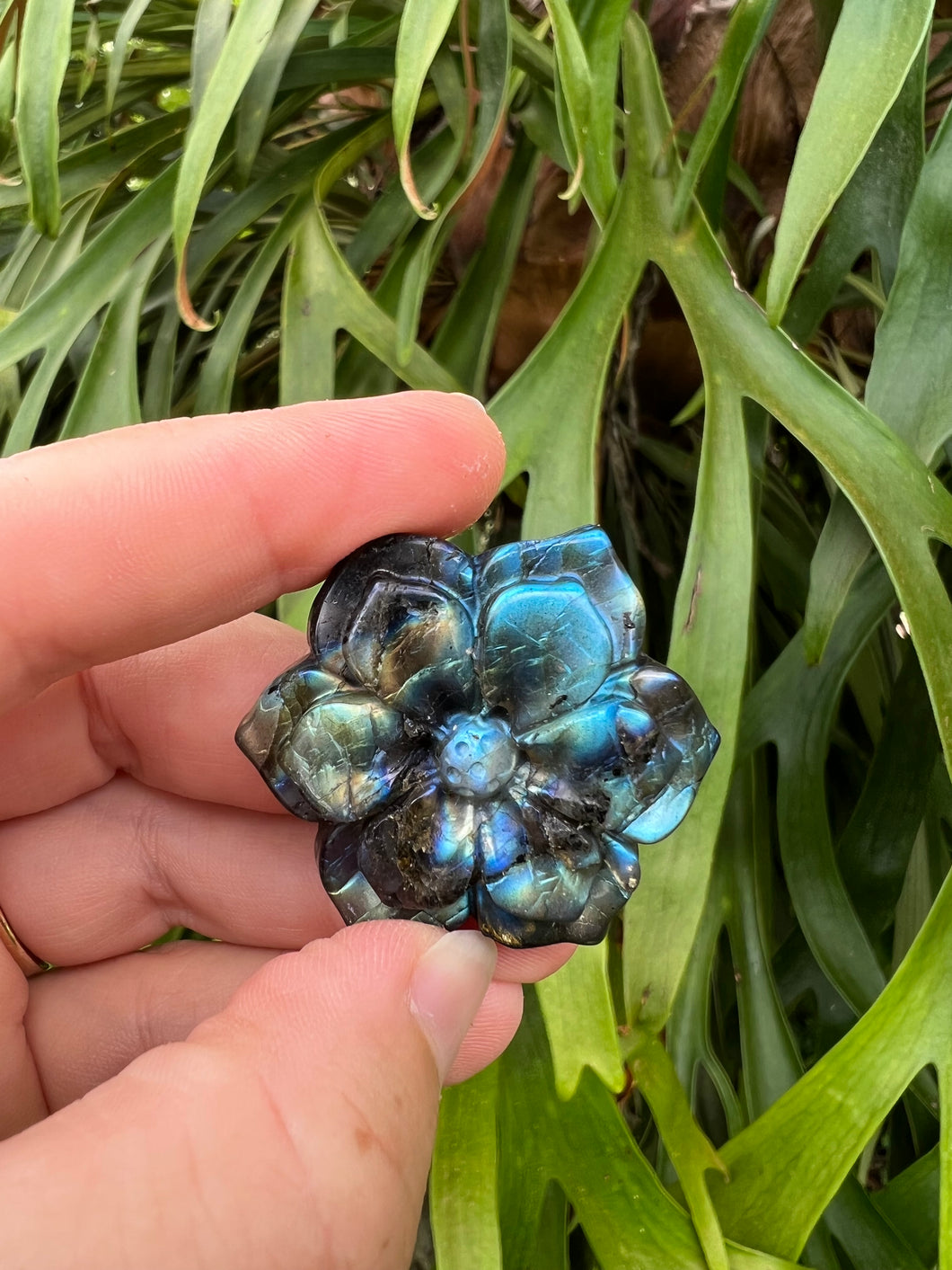 Labradorite Flower