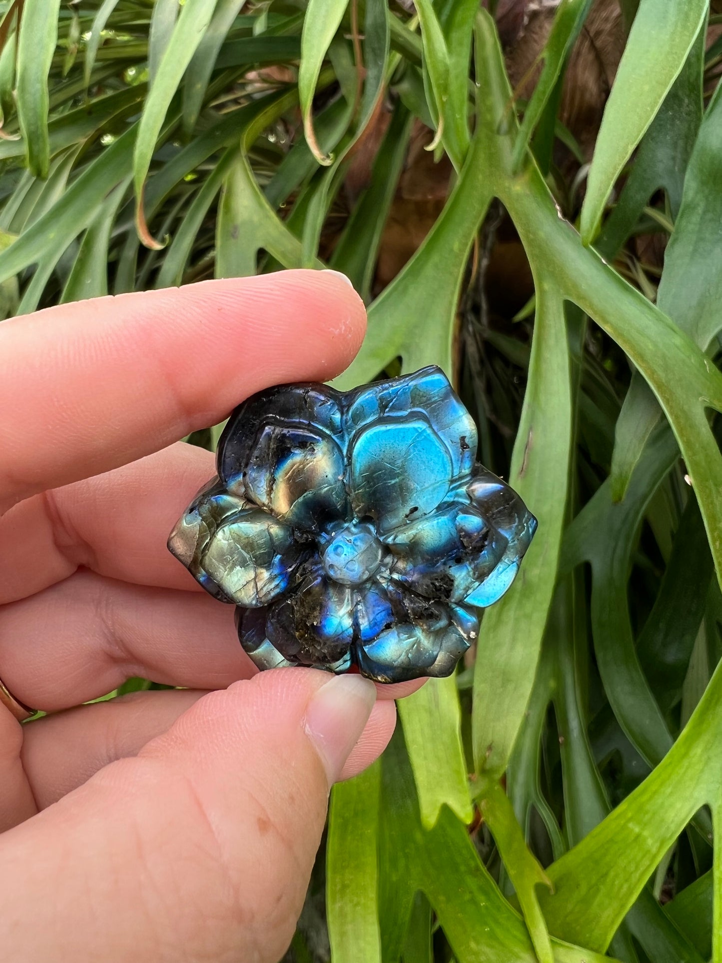 Labradorite Flower