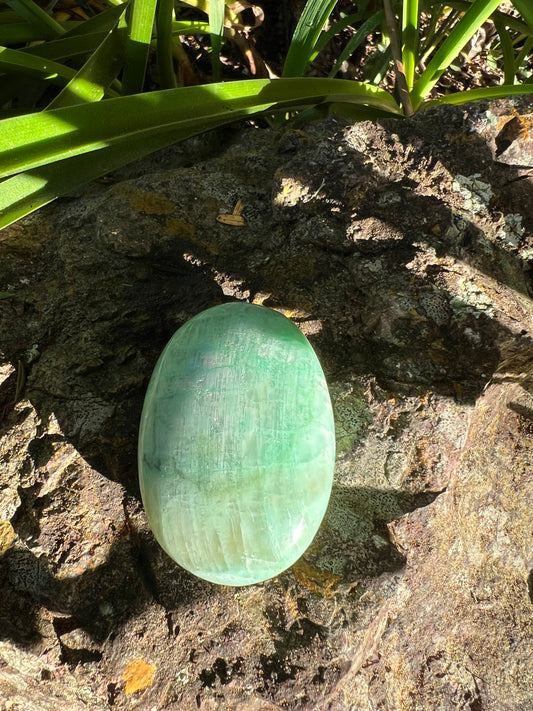 Garnierite Palm Stone