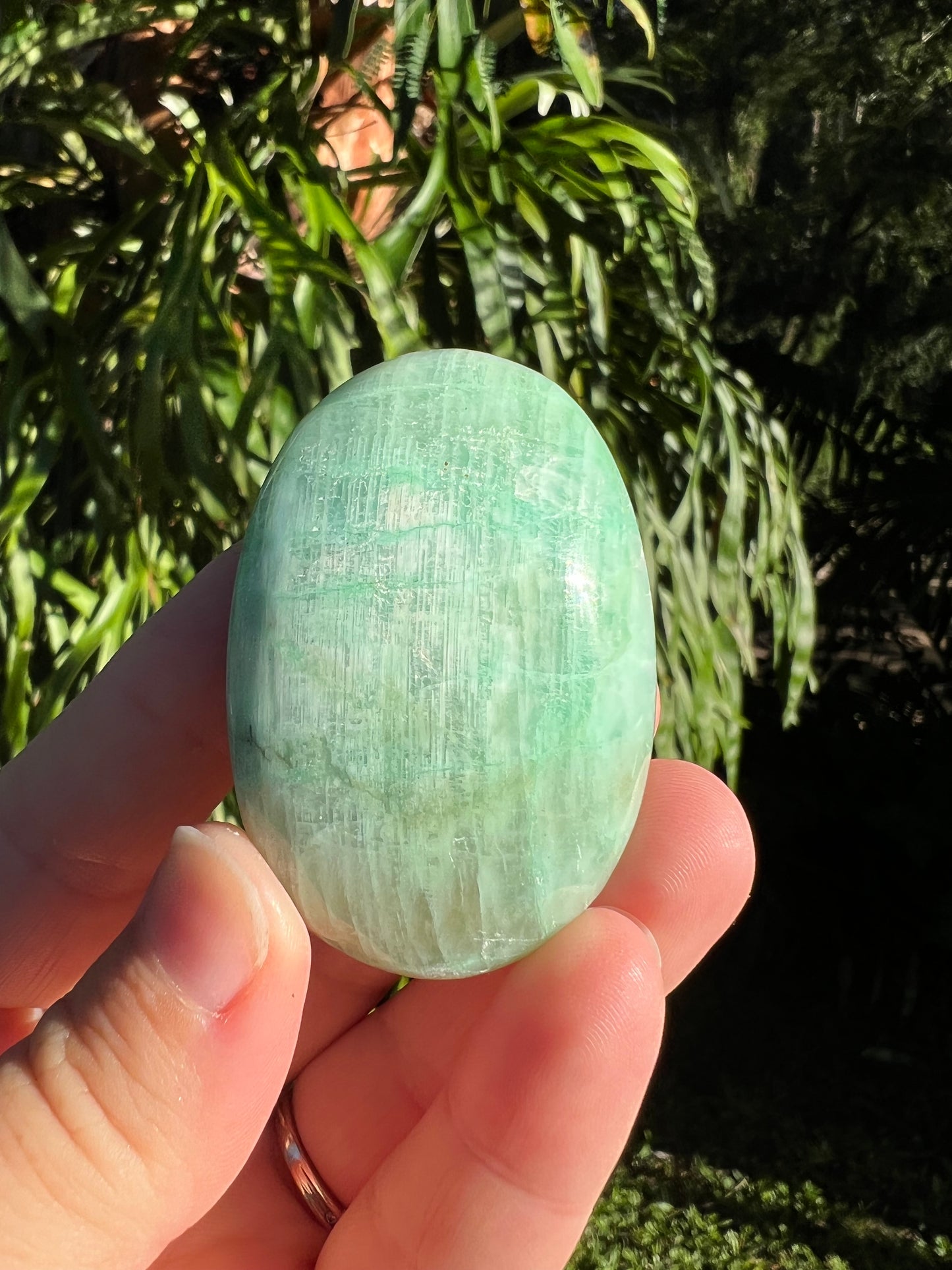 Garnierite Palm Stone