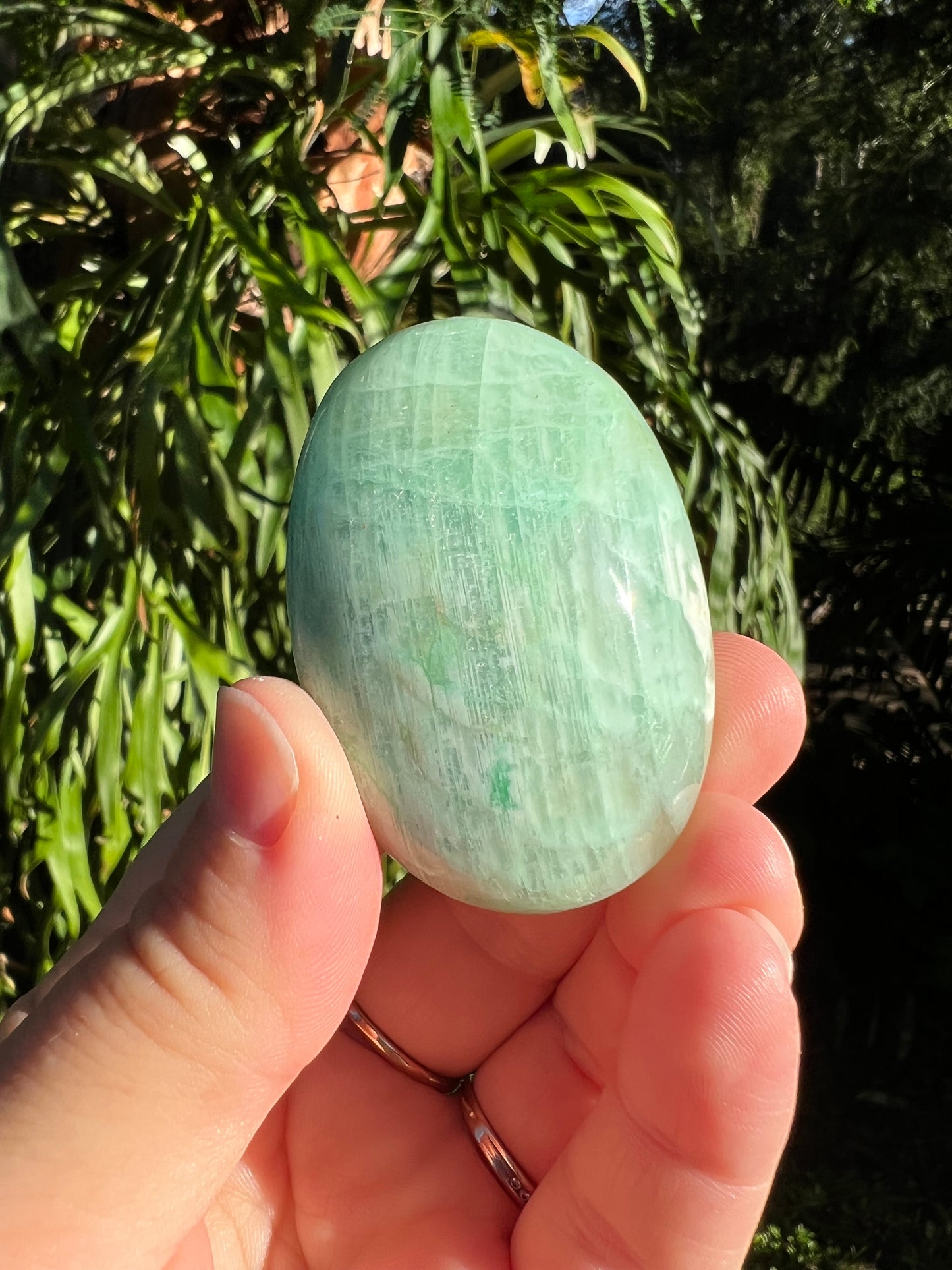Garnierite Palm Stone
