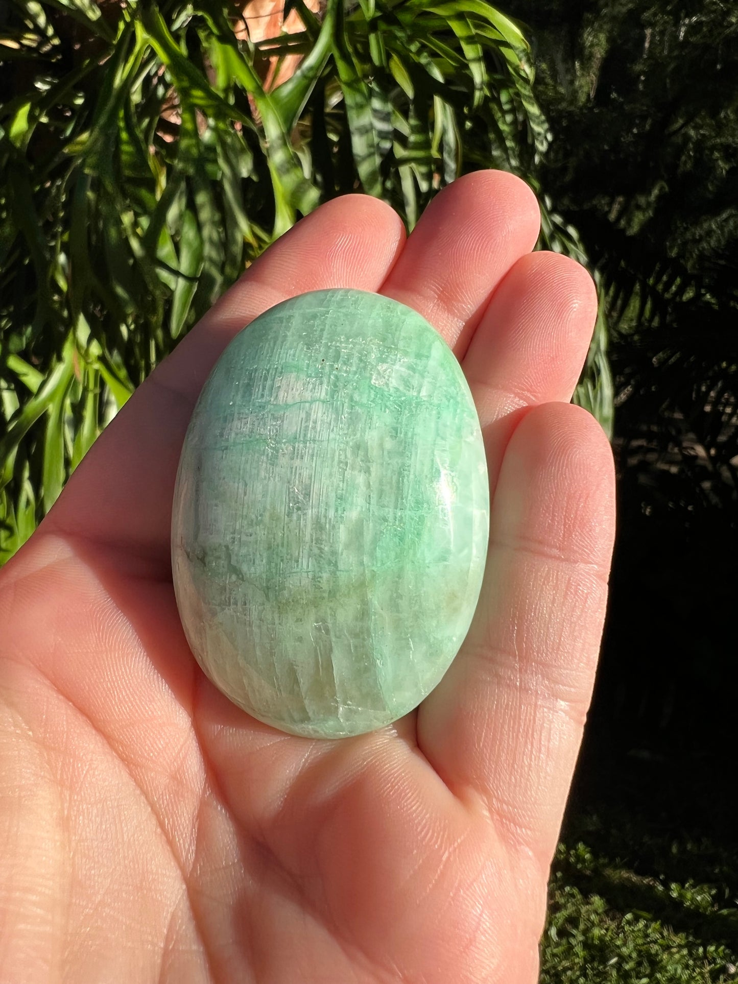 Garnierite Palm Stone