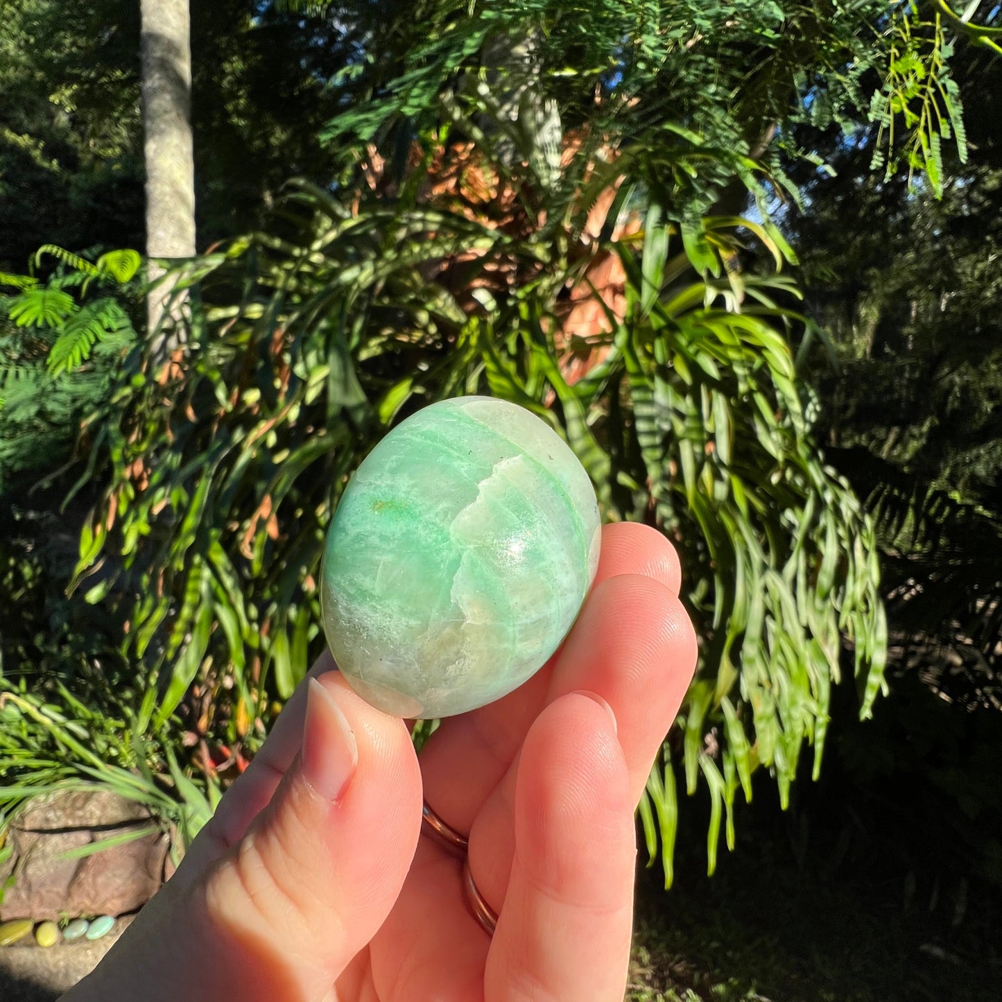 Garnierite Palm Stone