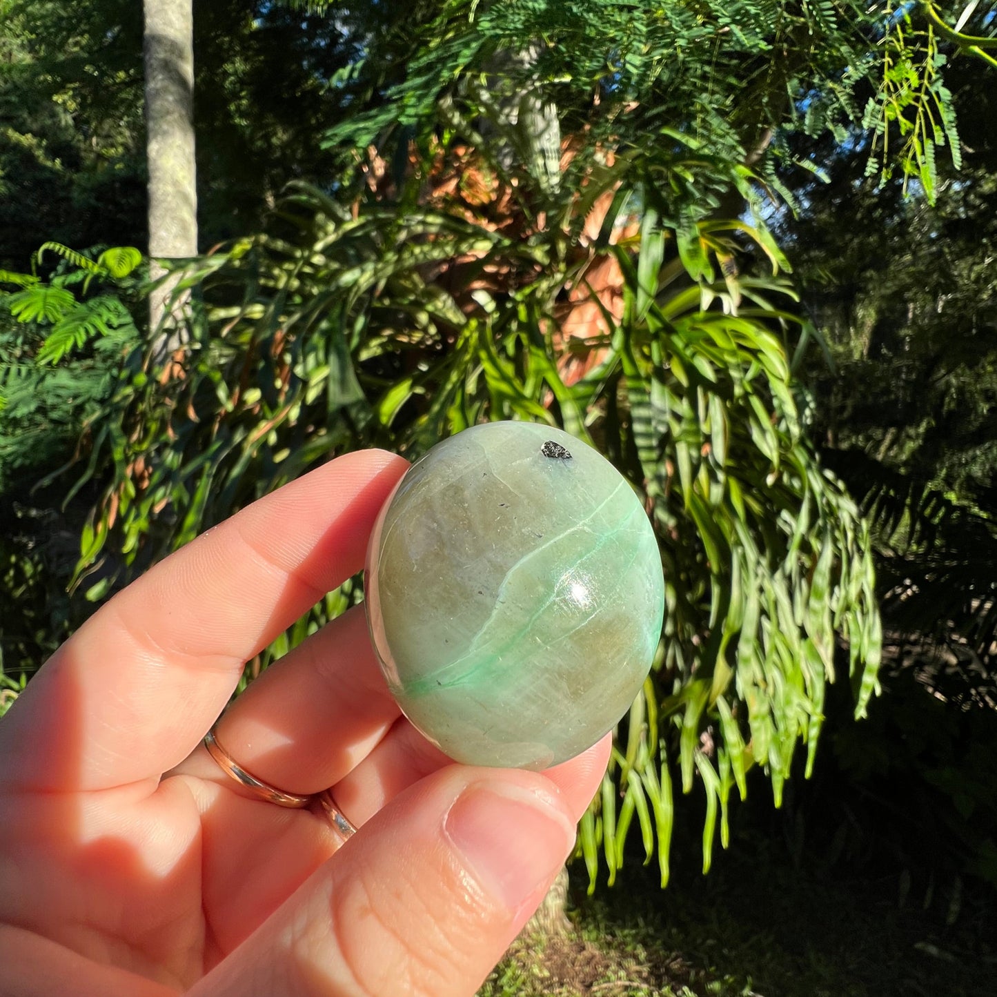 Garnierite Palm Stone