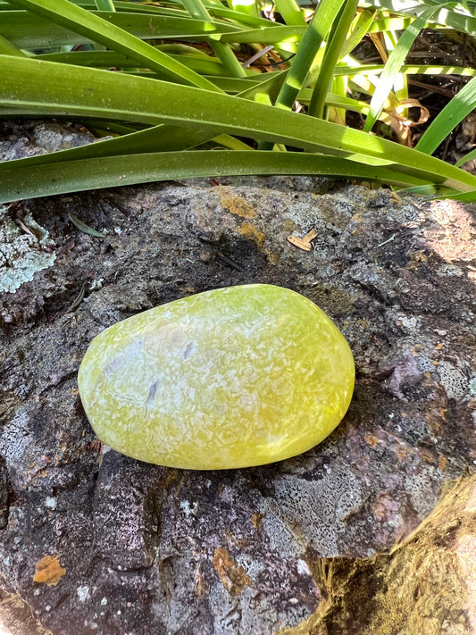 Green Opal Palm Stone