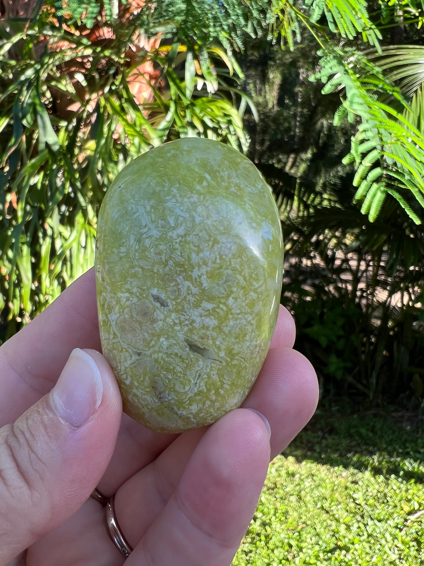 Green Opal Palm Stone