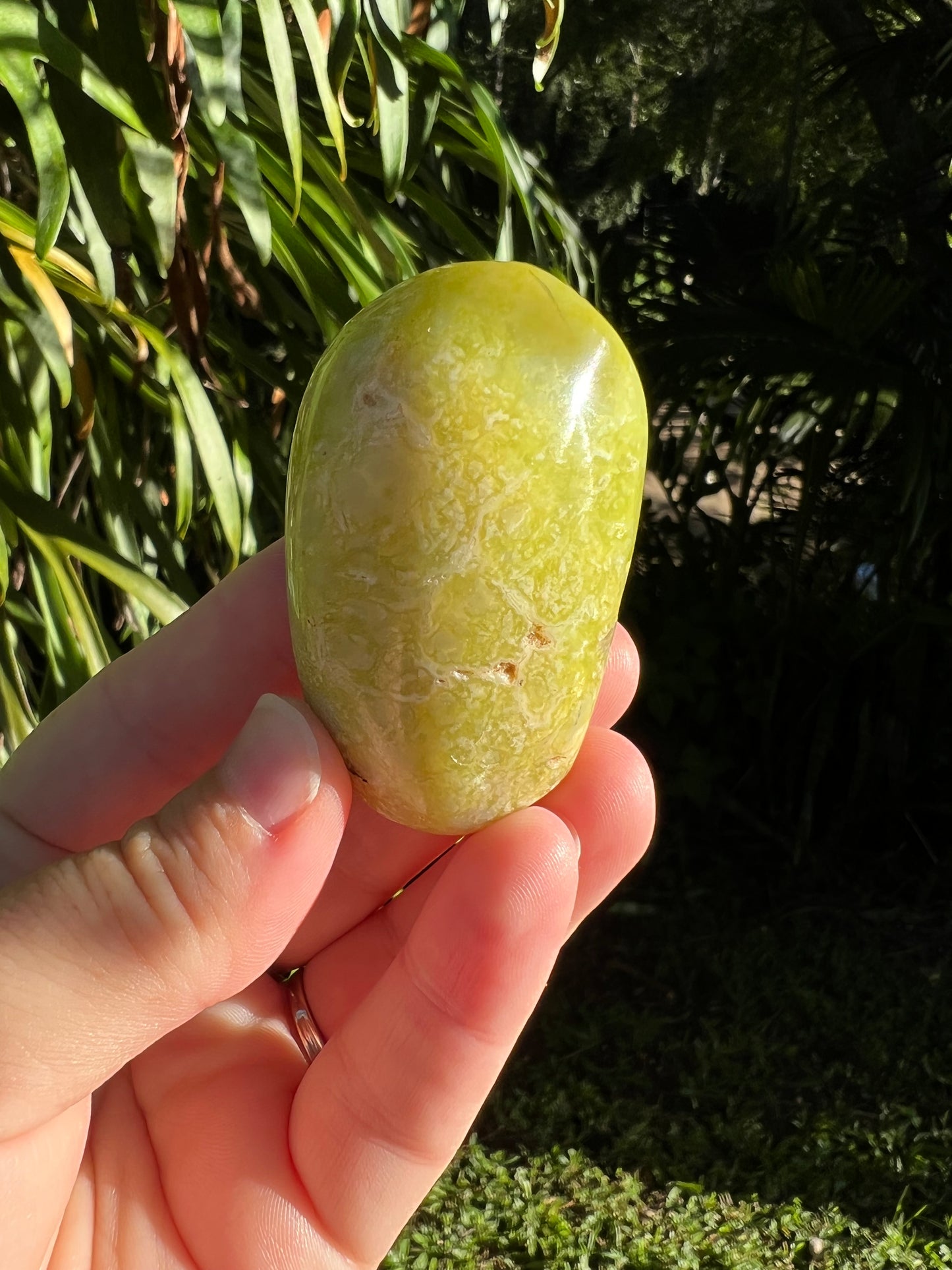 Green Opal Palm Stone