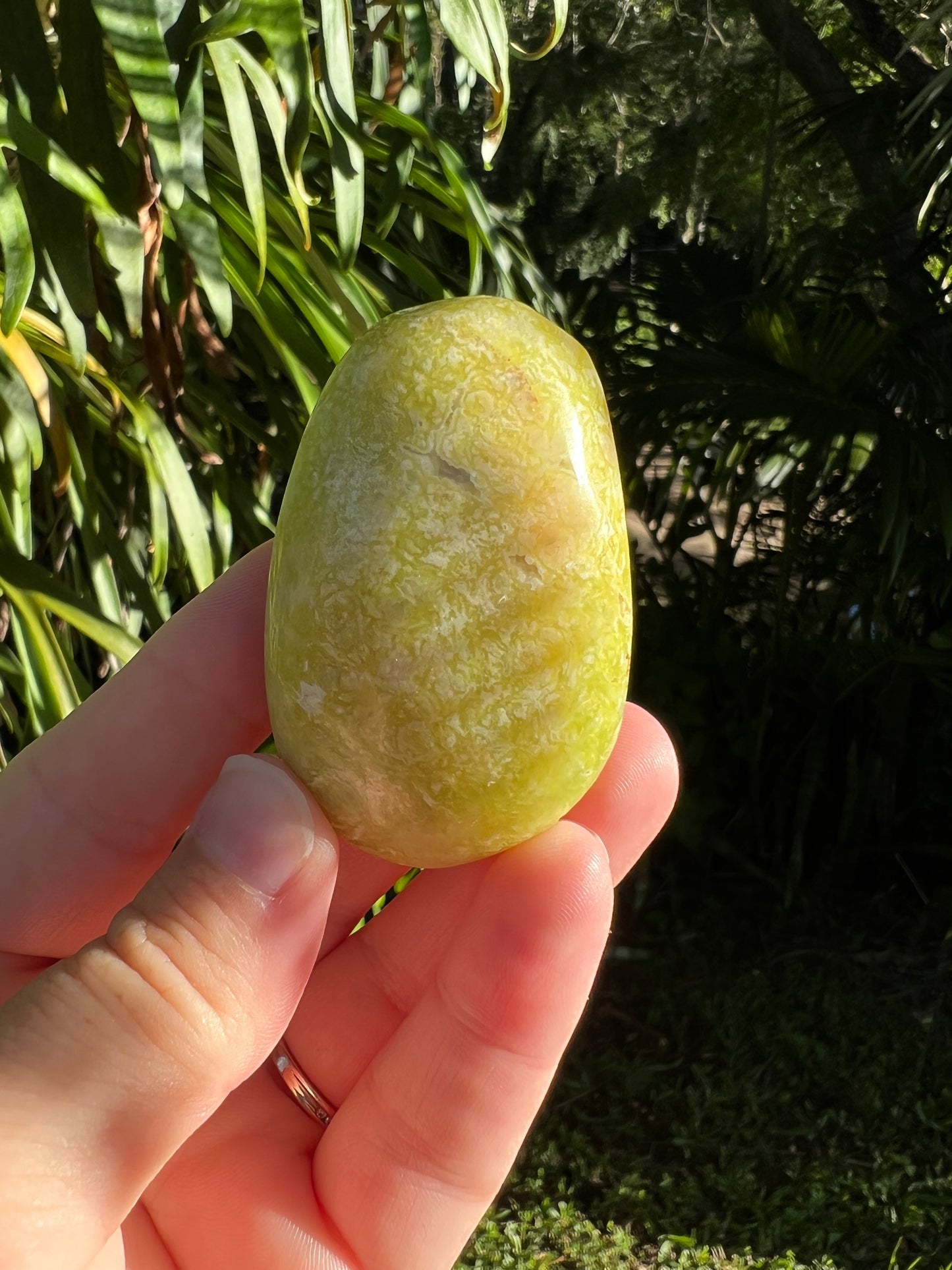 Green Opal Palm Stone