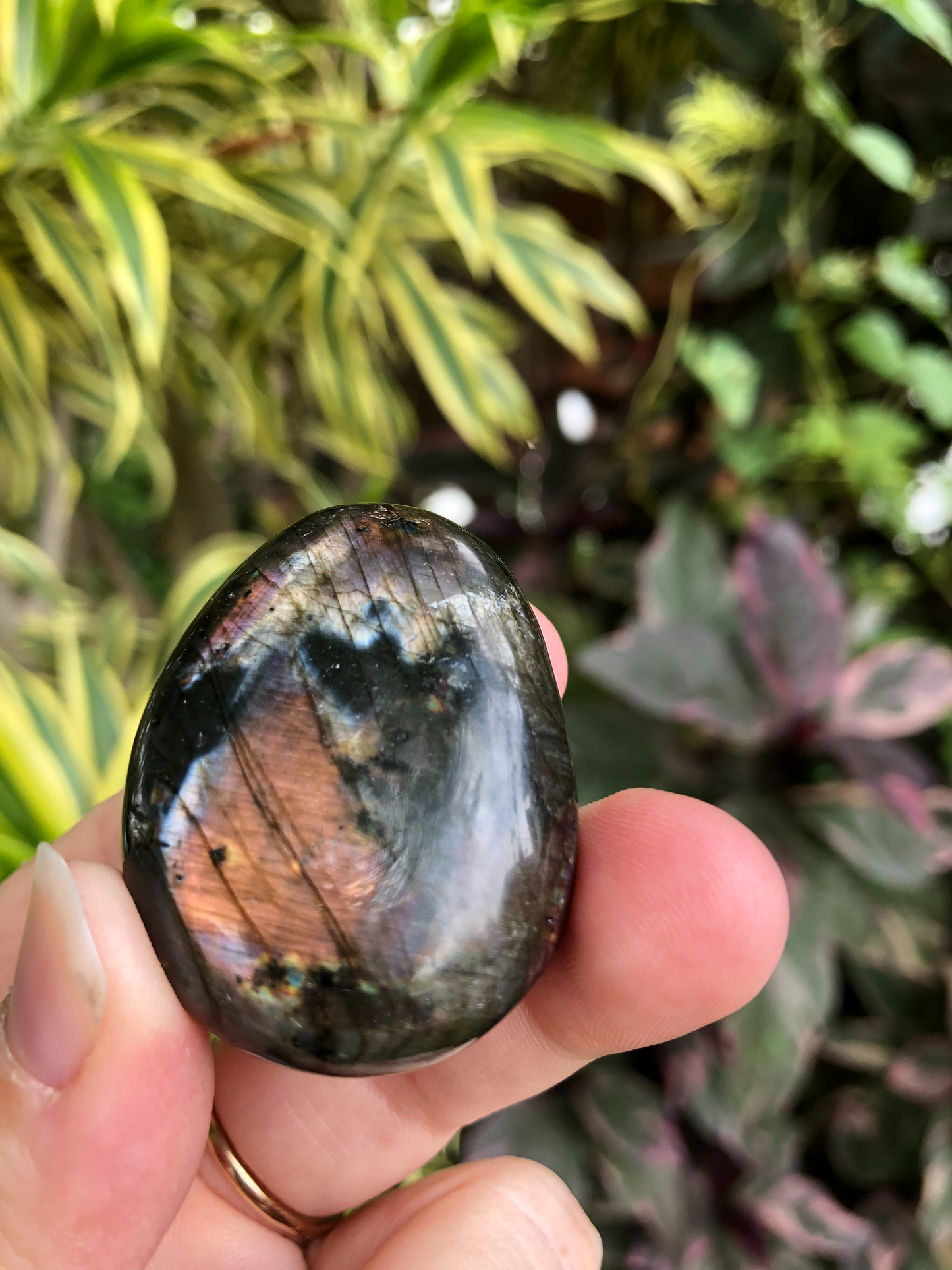 Labradorite Palm Stone