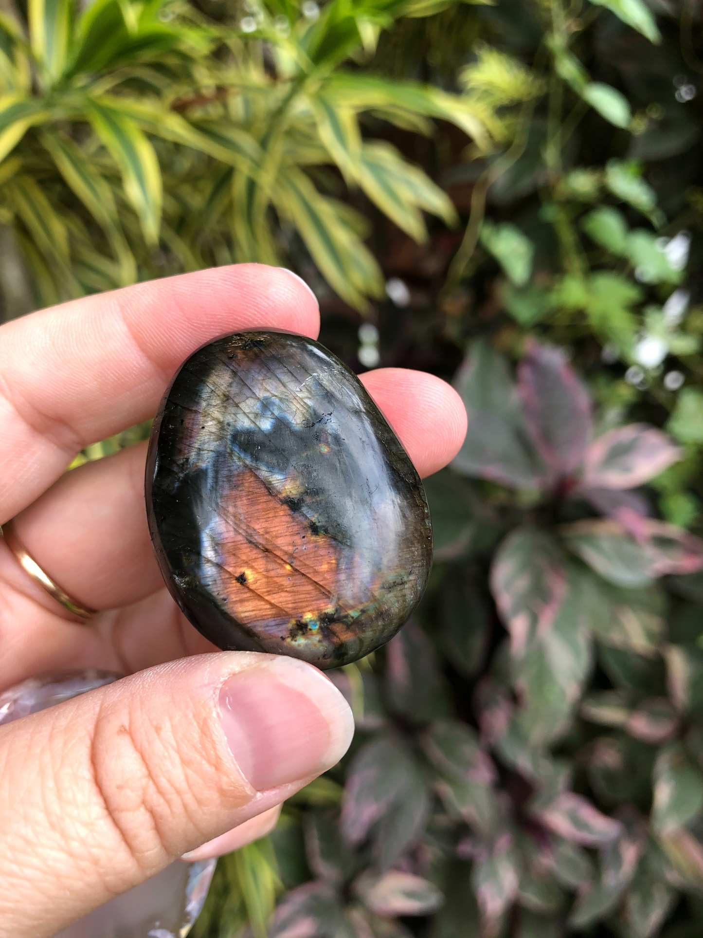 Labradorite Palm Stone