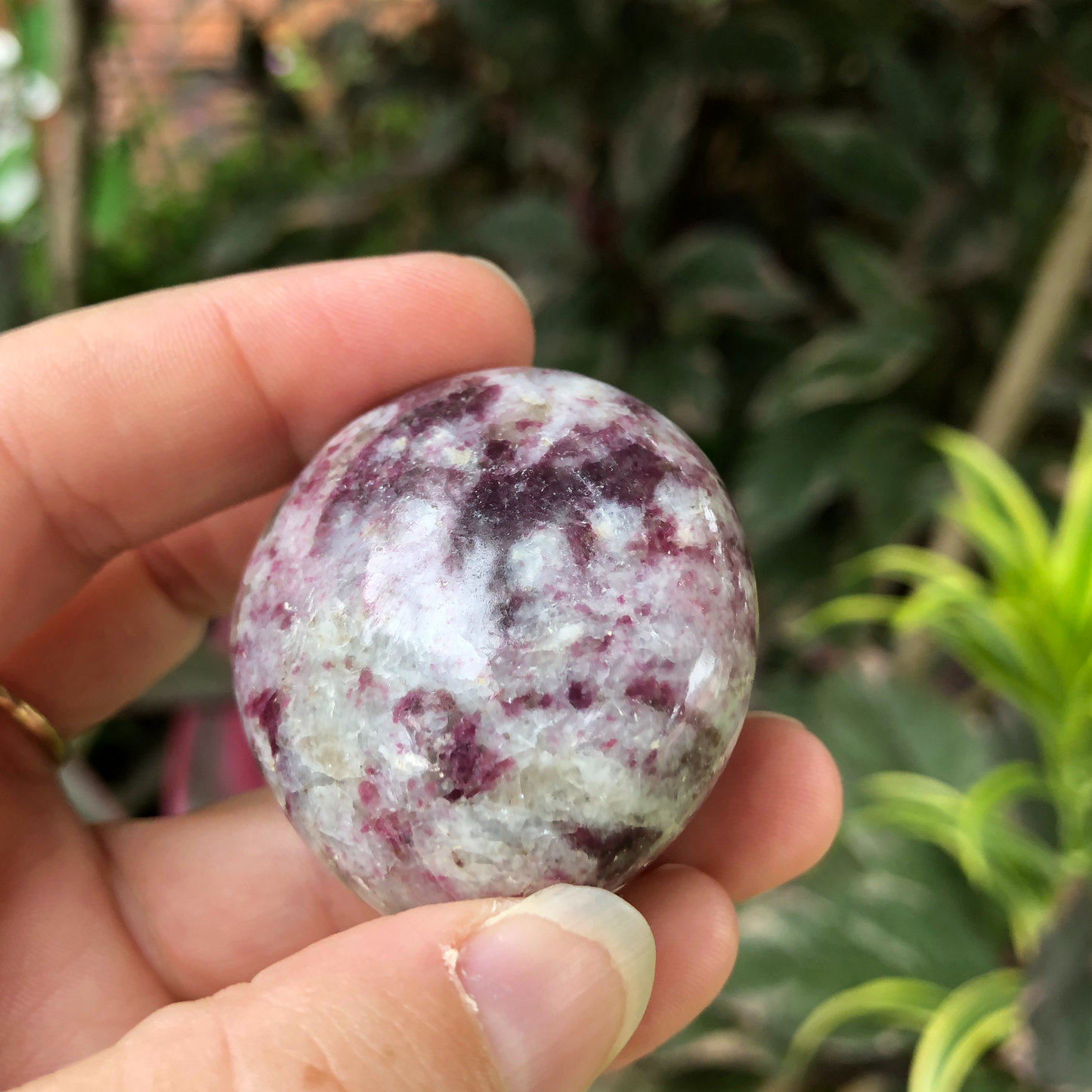 Pink Tourmaline Palm Stone