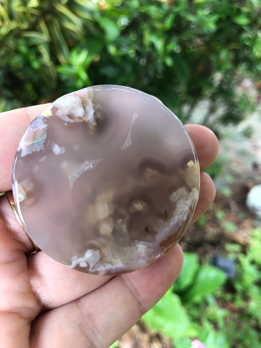 Flower Agate Disc