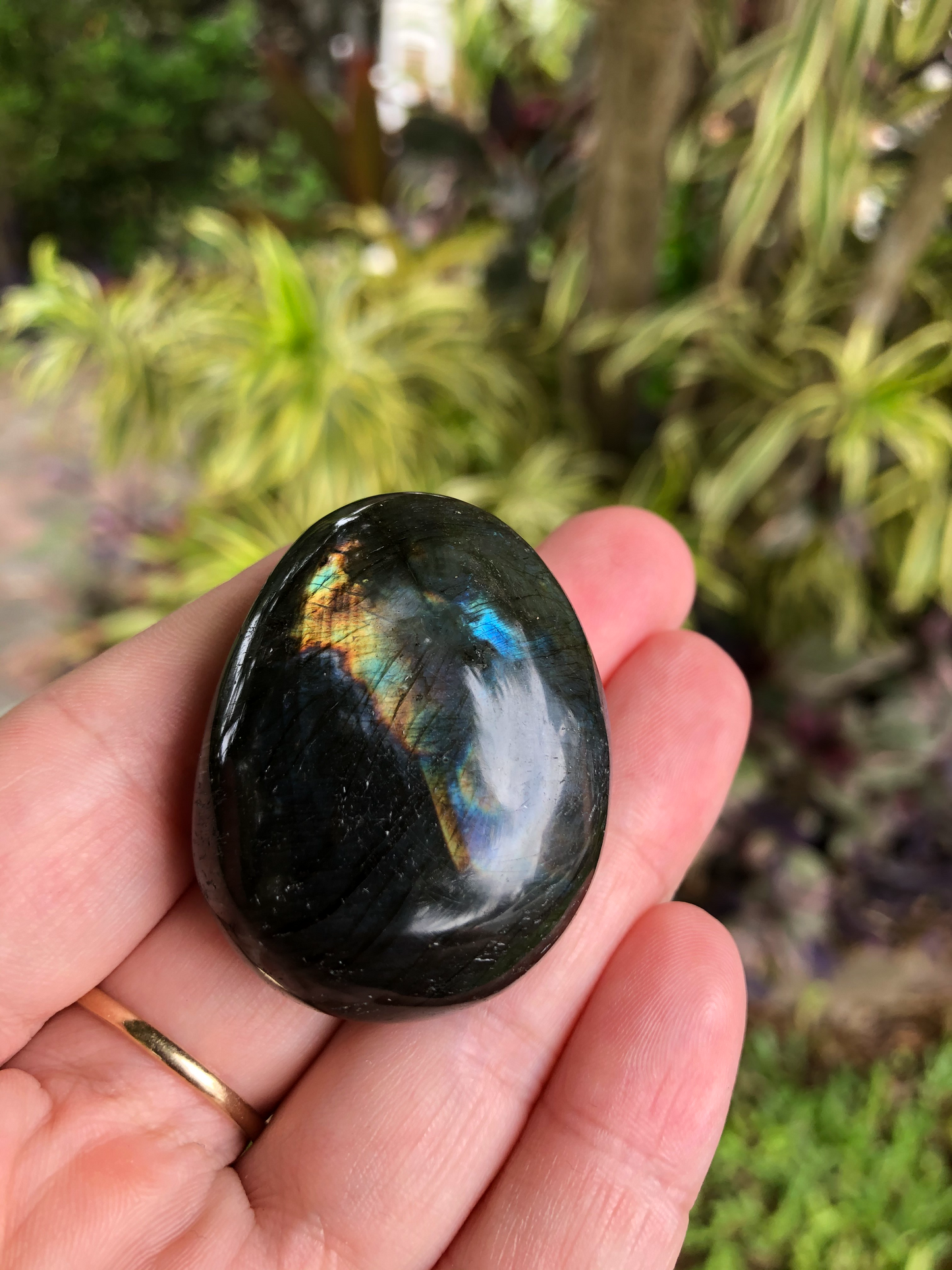 Labradorite Palm Stone